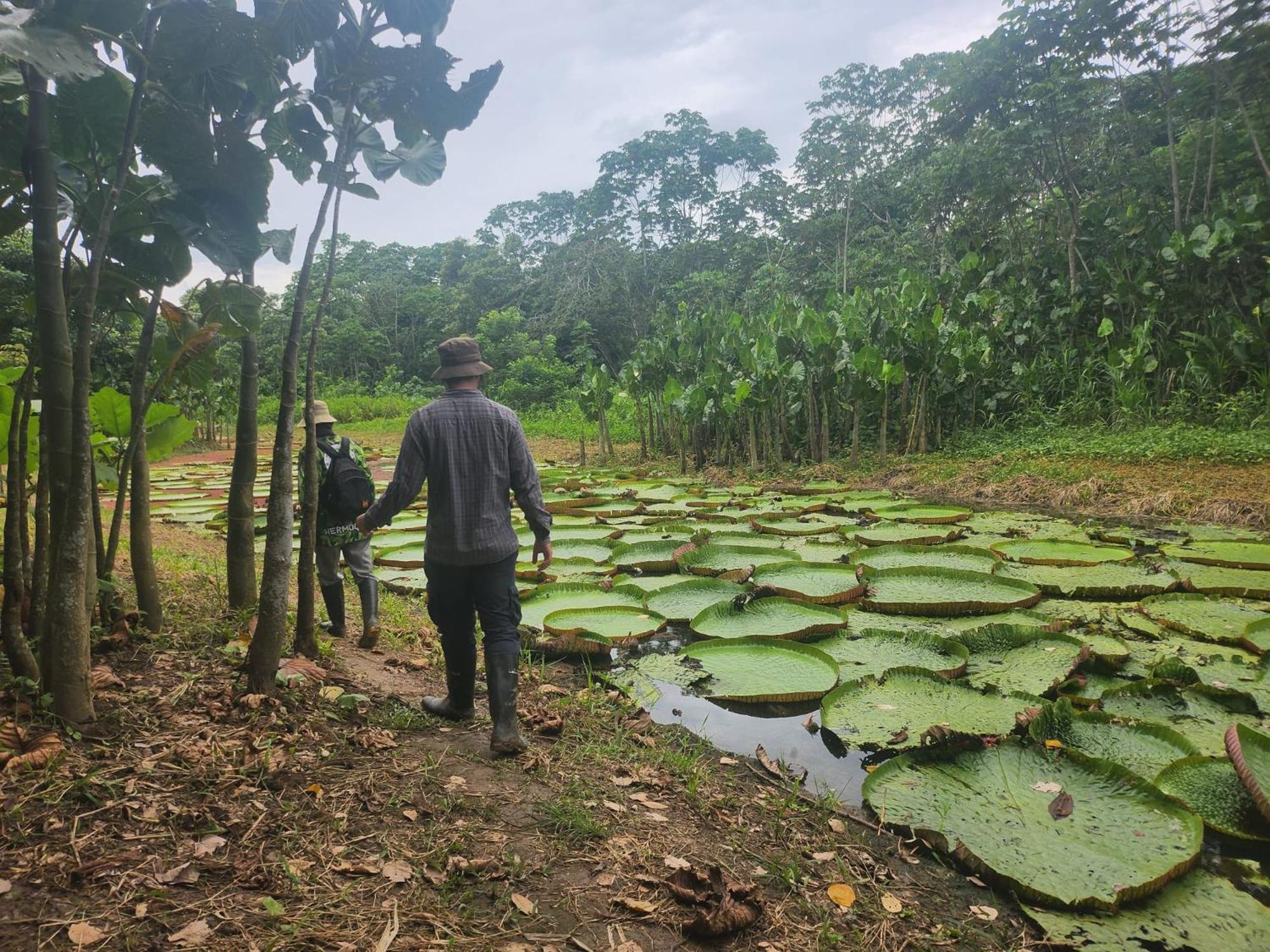 Hospedaje Y Tours Reina Arriera Amazonas Colombia Macedonia Extérieur photo