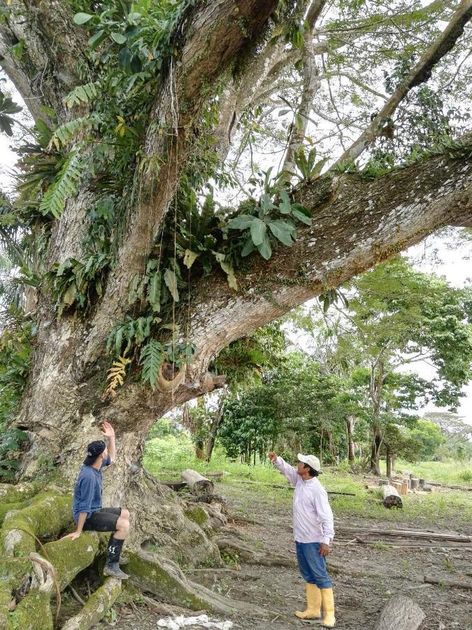 Hospedaje Y Tours Reina Arriera Amazonas Colombia Macedonia Extérieur photo